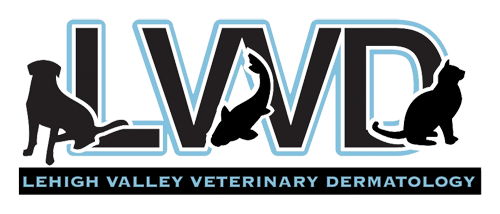 Lehigh Valley Veterinary Dermatology - Allentown PA - Home