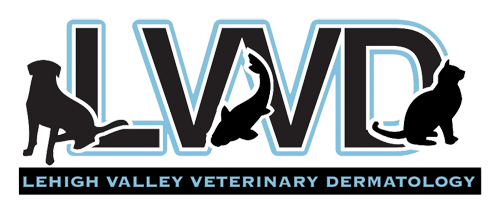 Lehigh Valley Veterinary Dermatology, Allentown, PA - Dr. Brian Palmeiro